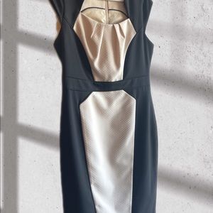 Dorothy Perkins Dress size 10 US